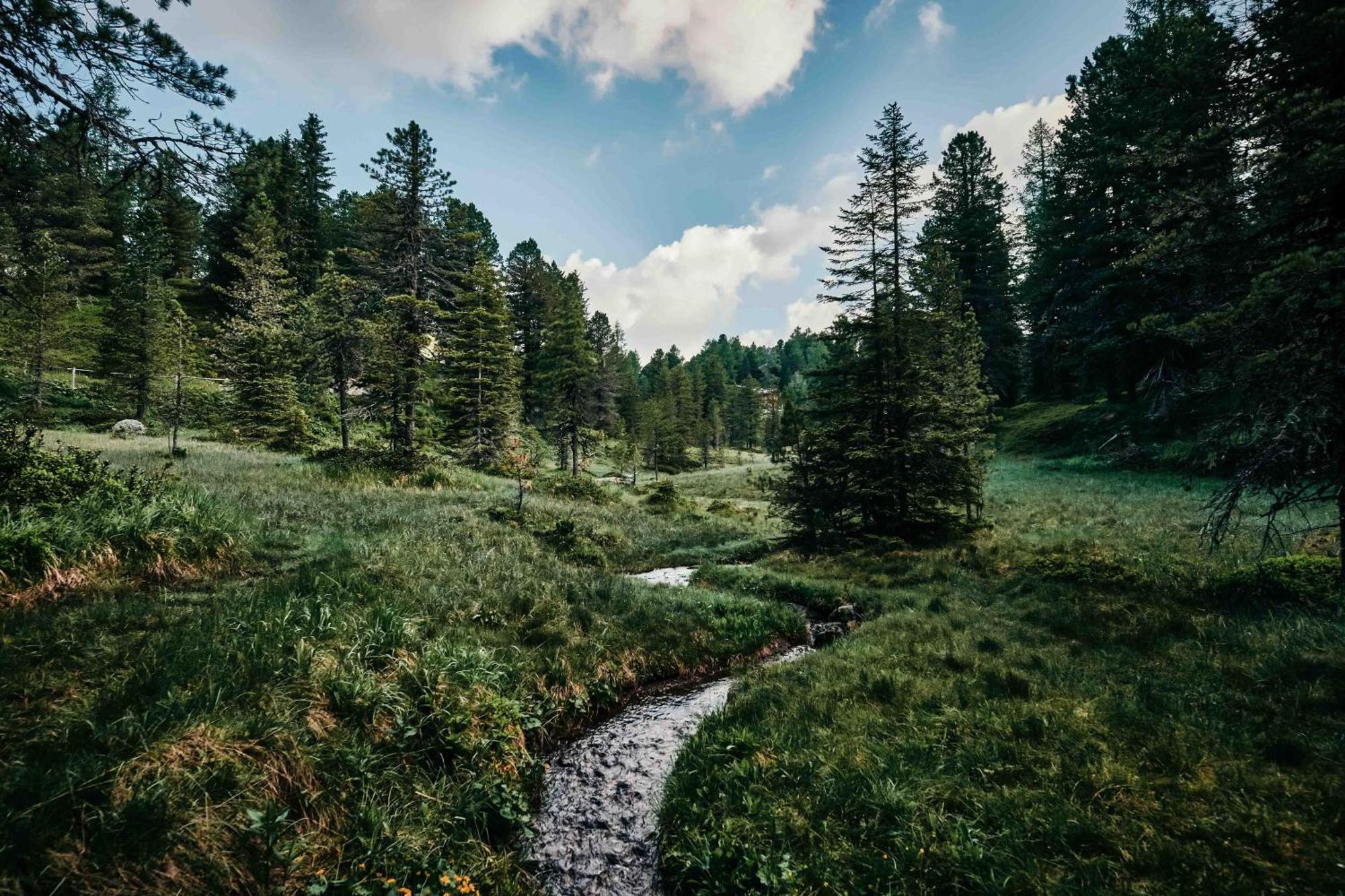 Hotel Hochschober Turracher Hoehe Luaran gambar